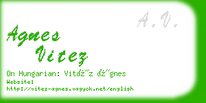 agnes vitez business card